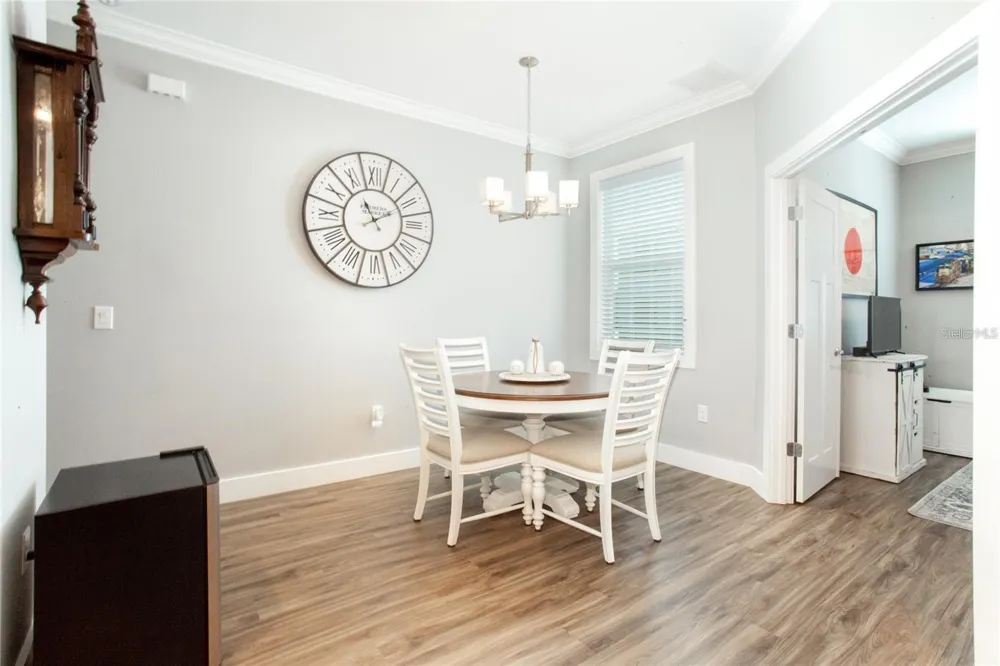 1273 SAVONA DRIVE NE St Petersburg, FL 33702