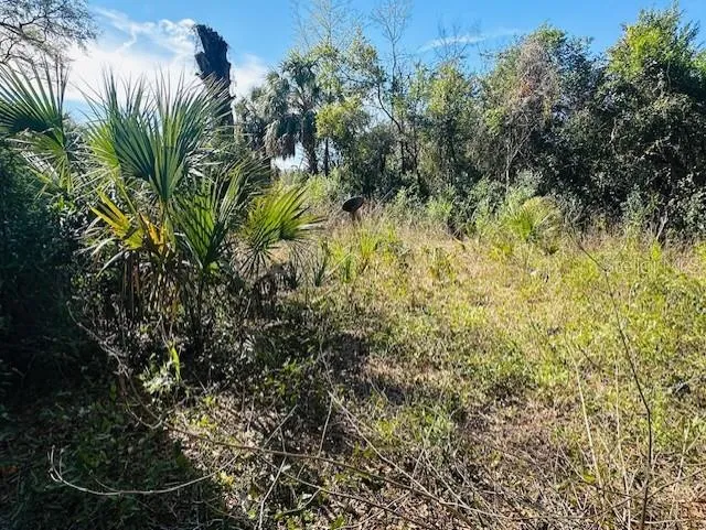 1219 PARIS STREET Bell, FL 32619
