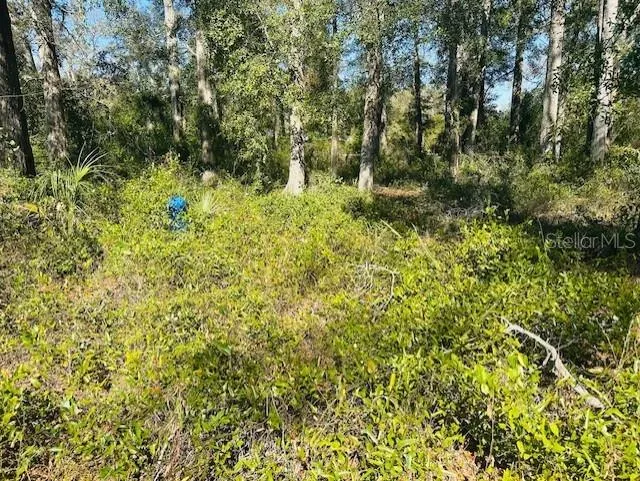 1219 PARIS STREET Bell, FL 32619