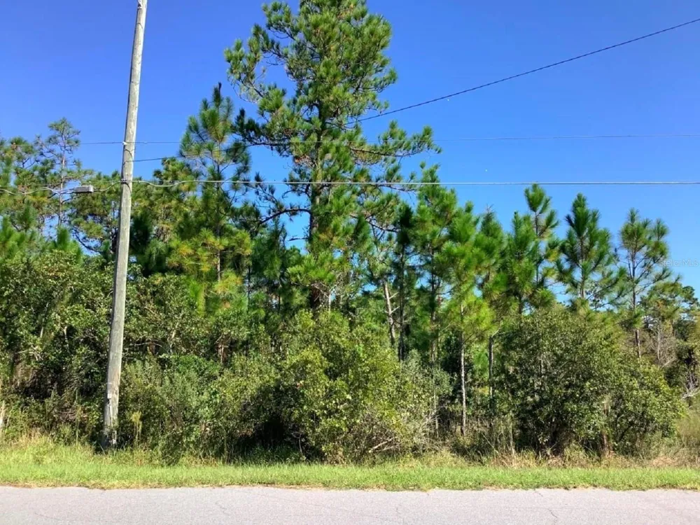 00000 SHELDON STREET Orlando, FL 32833