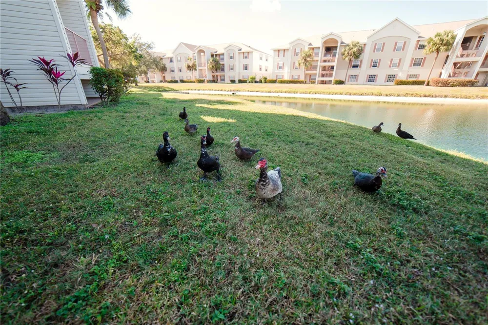 1771 FOUR MILE COVE PARKWAY #1031 Cape Coral, FL 33990