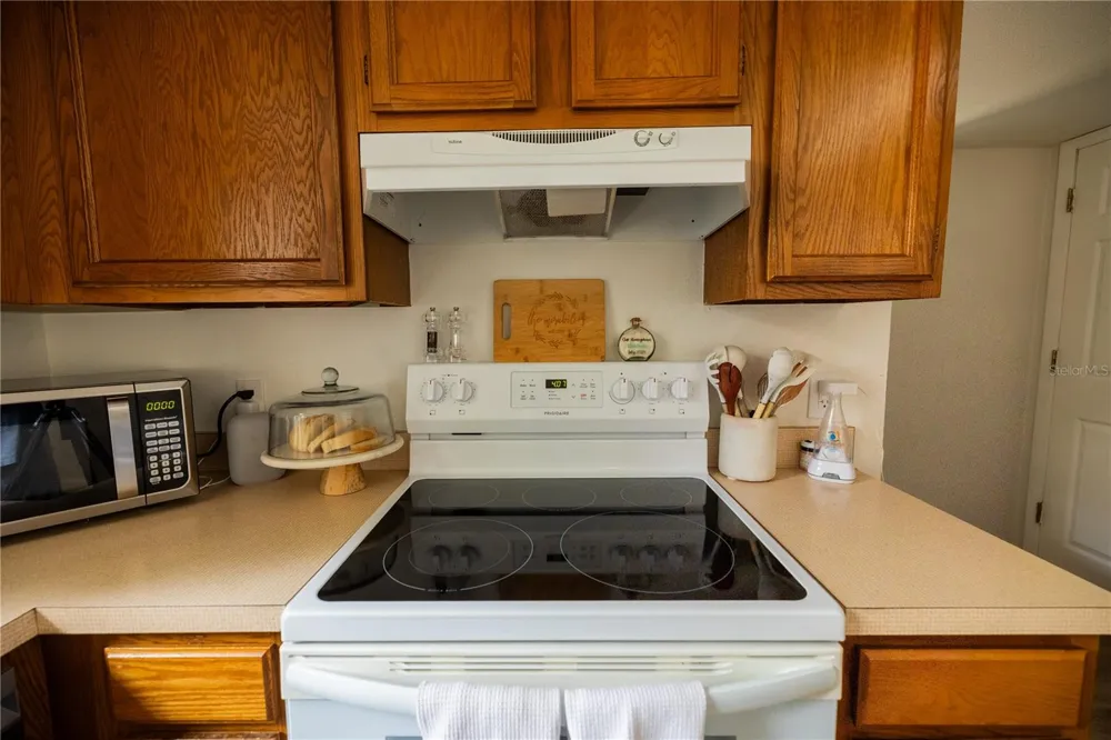 3728 MURRAY DALE DRIVE Valrico, FL 33596