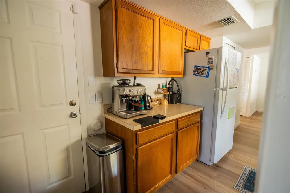 3728 MURRAY DALE DRIVE Valrico, FL 33596
