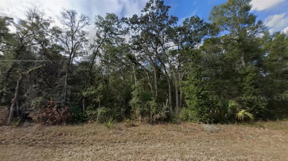 NW 85TH AVENUE Chiefland, FL 32626