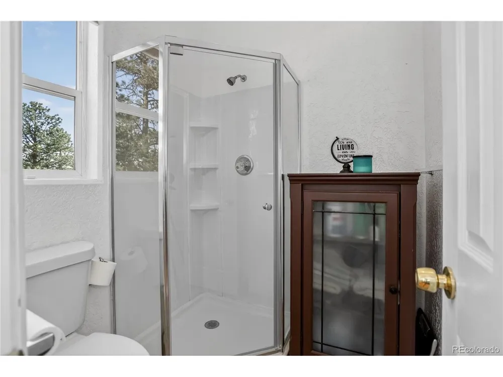 104 Pinon Road Bailey, CO 80421