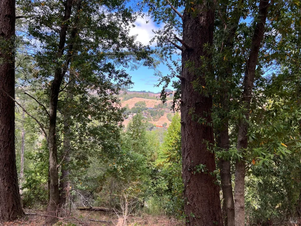 Laurel Avenue Woodacre, CA 94973