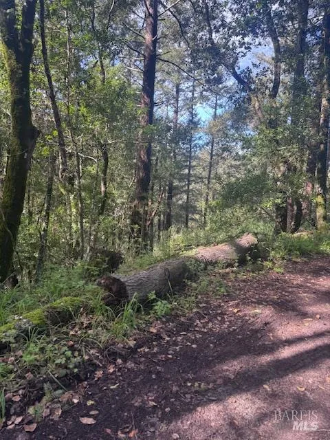 Laurel Avenue Woodacre, CA 94973