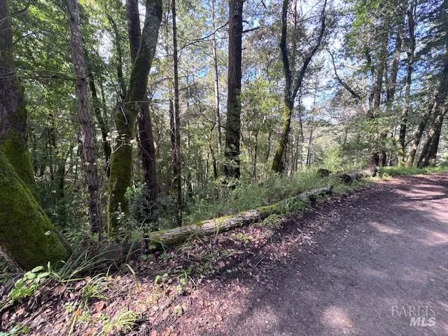 Laurel Avenue Woodacre, CA 94973