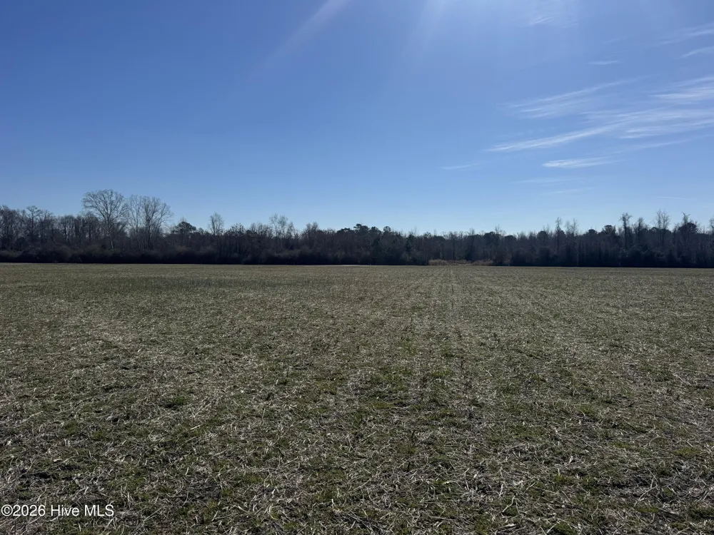 0 Near 2034 Haynes Len Cerro Gordo, NC 28430