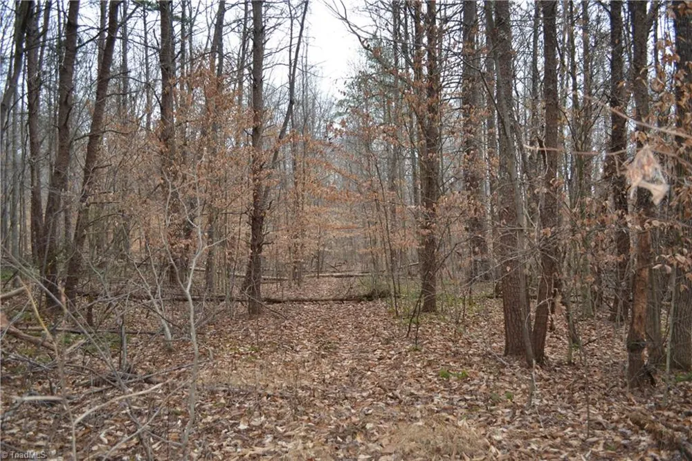 17.2 Acres Davie Lane Madison, NC 27025