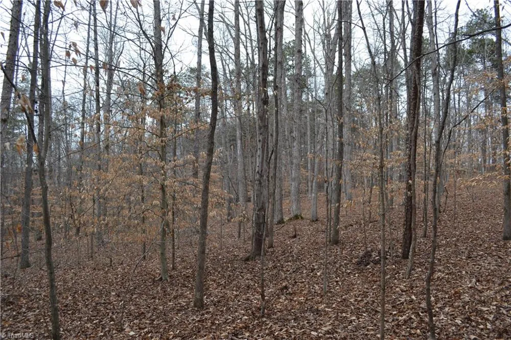 17.2 Acres Davie Lane Madison, NC 27025