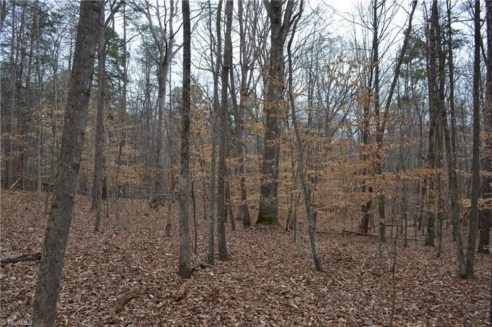 17.2 Acres Davie Lane Madison, NC 27025