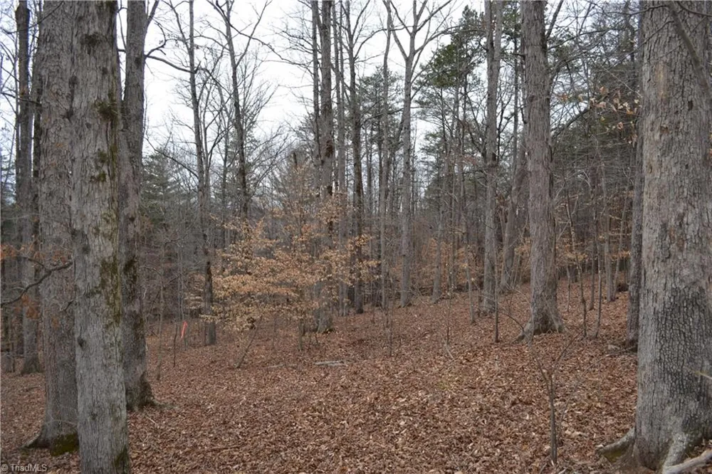 17.2 Acres Davie Lane Madison, NC 27025
