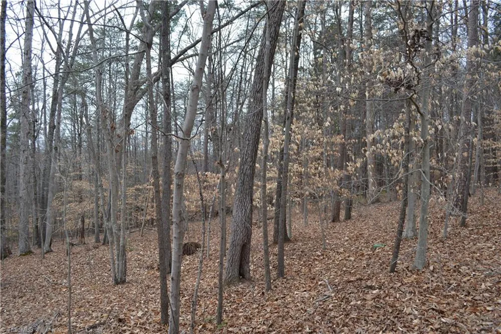 17.2 Acres Davie Lane Madison, NC 27025