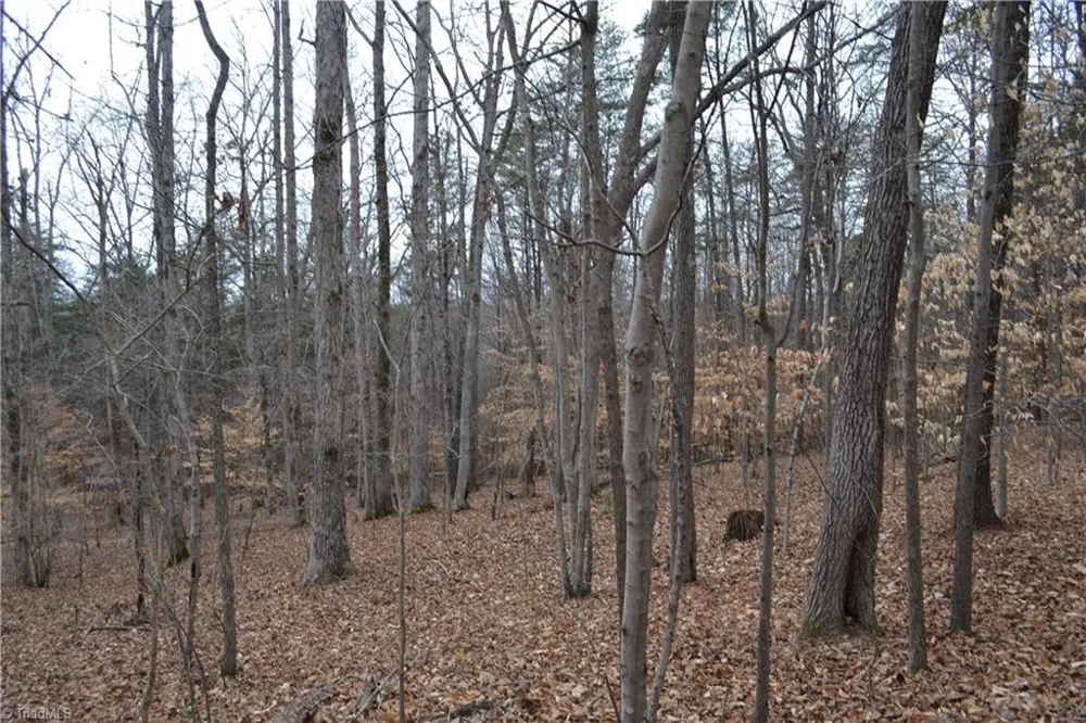 17.2 Acres Davie Lane Madison, NC 27025