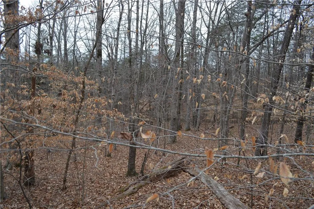 17.2 Acres Davie Lane Madison, NC 27025