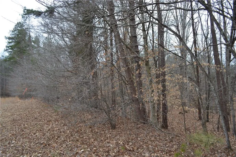 17.2 Acres Davie Lane Madison, NC 27025