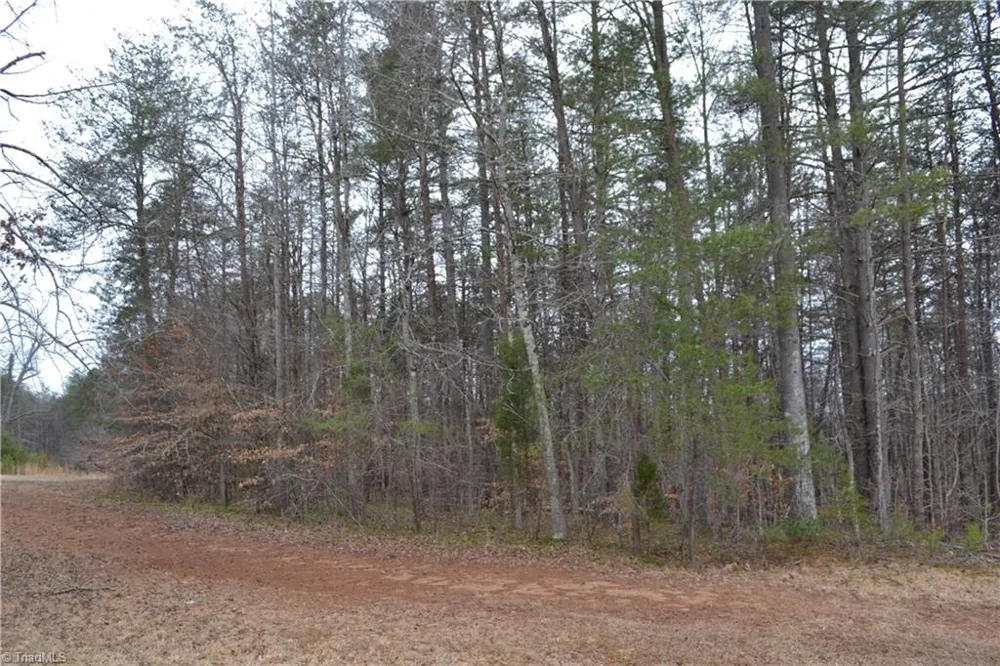17.2 Acres Davie Lane Madison, NC 27025