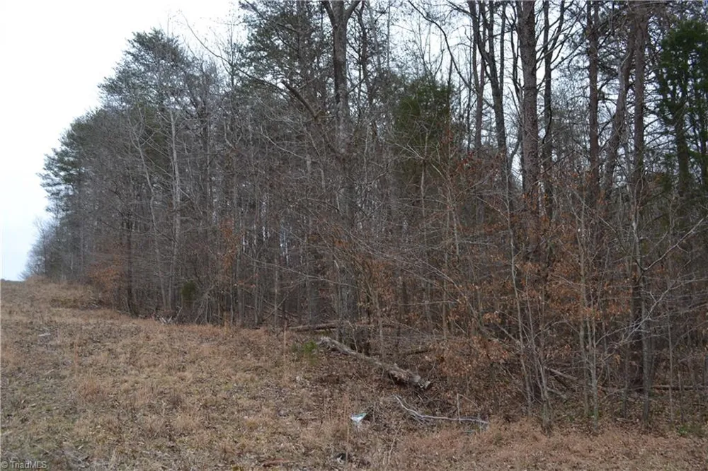 17.2 Acres Davie Lane Madison, NC 27025