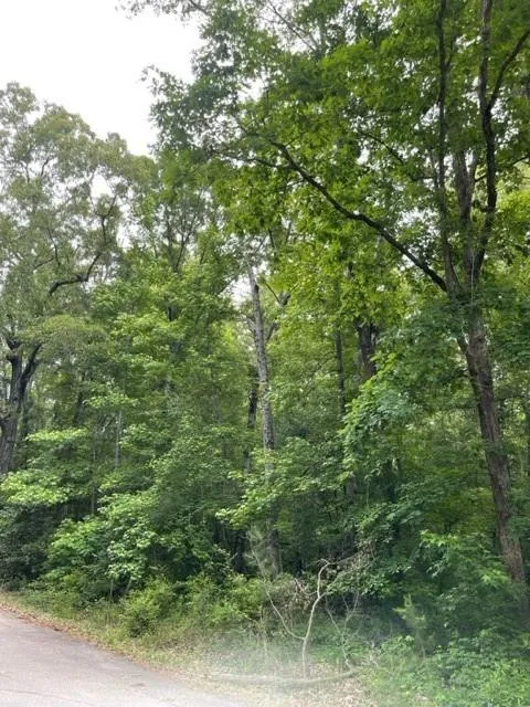0 Napier Drive Eatonton, GA 31024