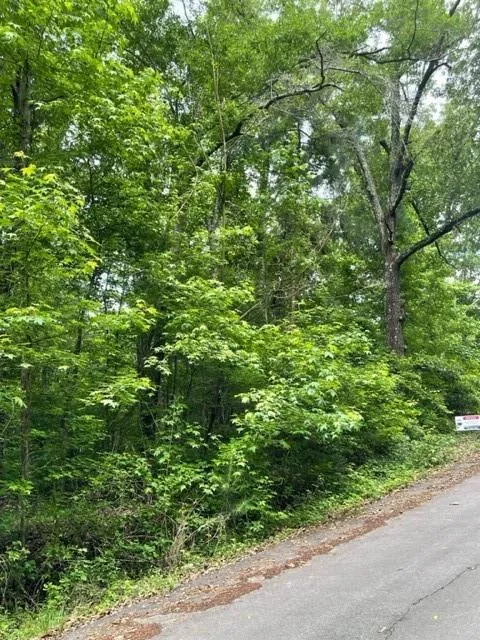 0 Napier Drive Eatonton, GA 31024