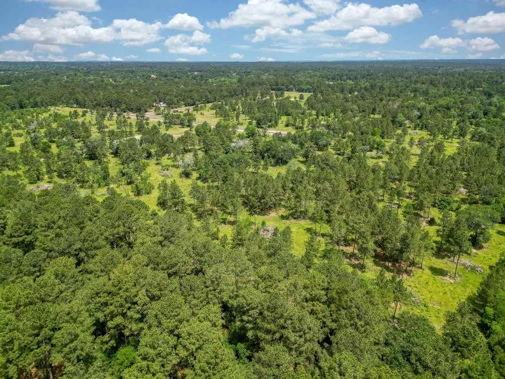 31971 Boone Road Waller, TX 77484