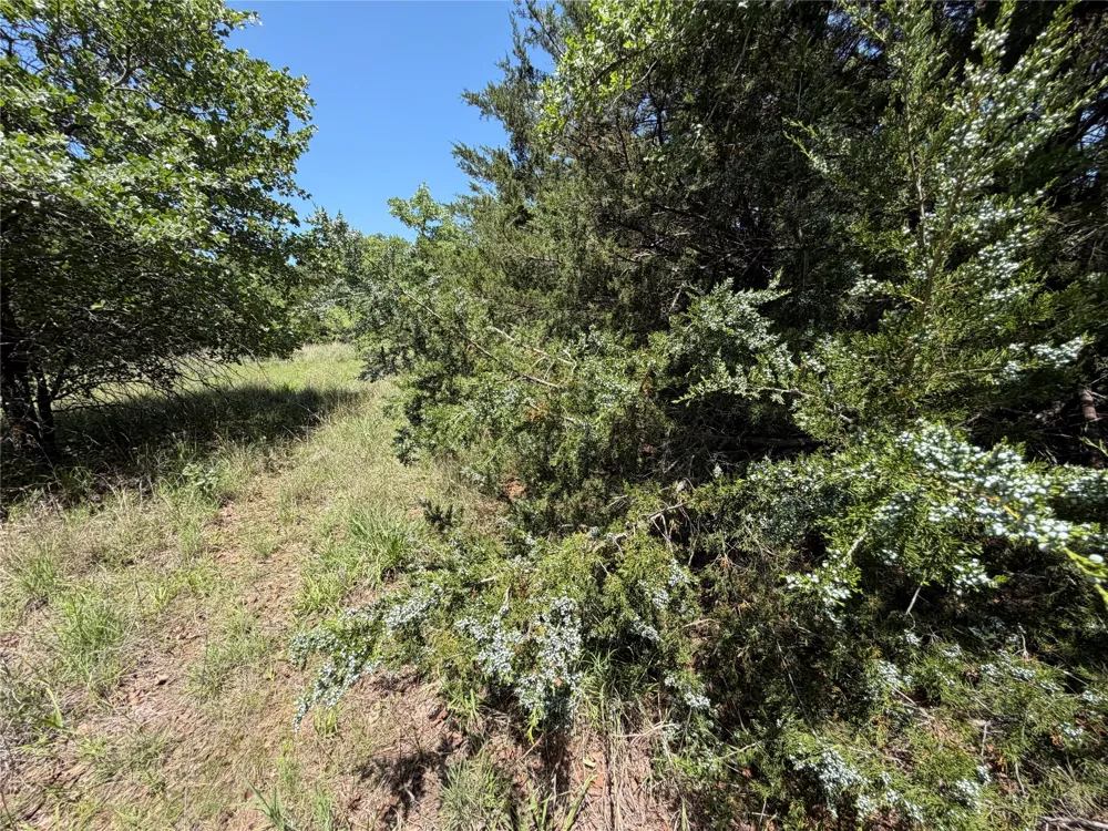 230 Keys Road Sunset, TX 76270