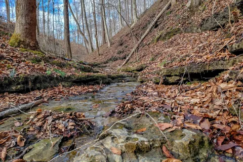 0 Hutchins Bend Rd