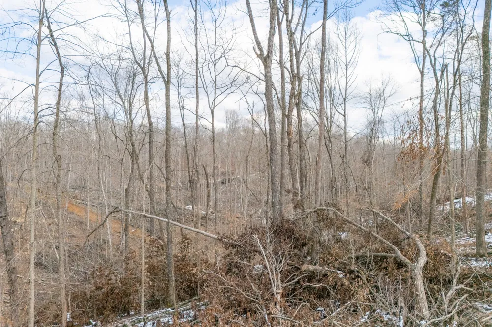 0 Hutchins Bend Rd Sparta, TN 38583