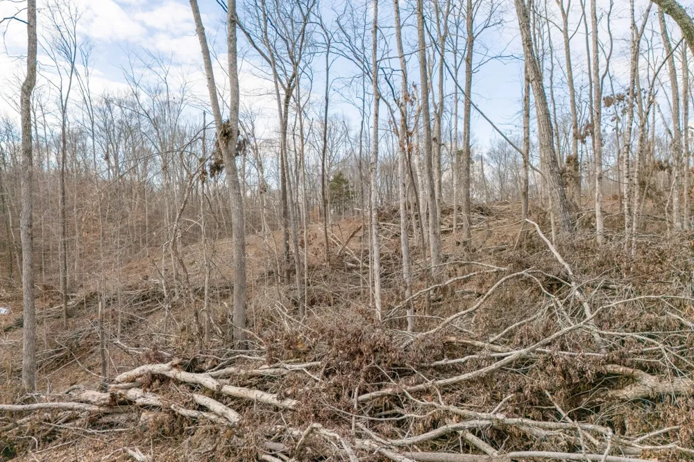 0 Hutchins Bend Rd Sparta, TN 38583