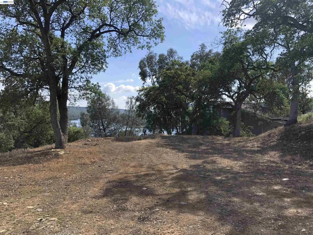 512 Winchester Way Copperopolis, CA 95228