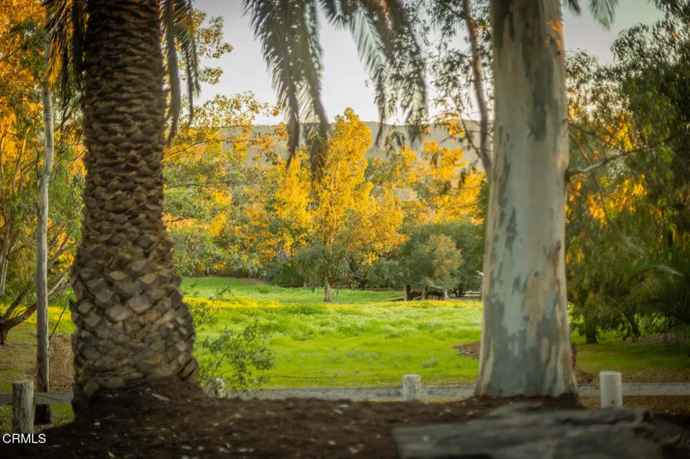 1519 Ayers Avenue Ojai, CA 93023