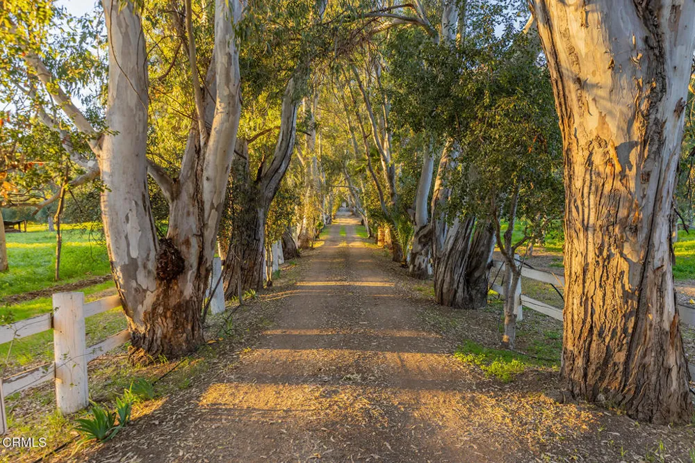 1519 Ayers Avenue Ojai, CA 93023