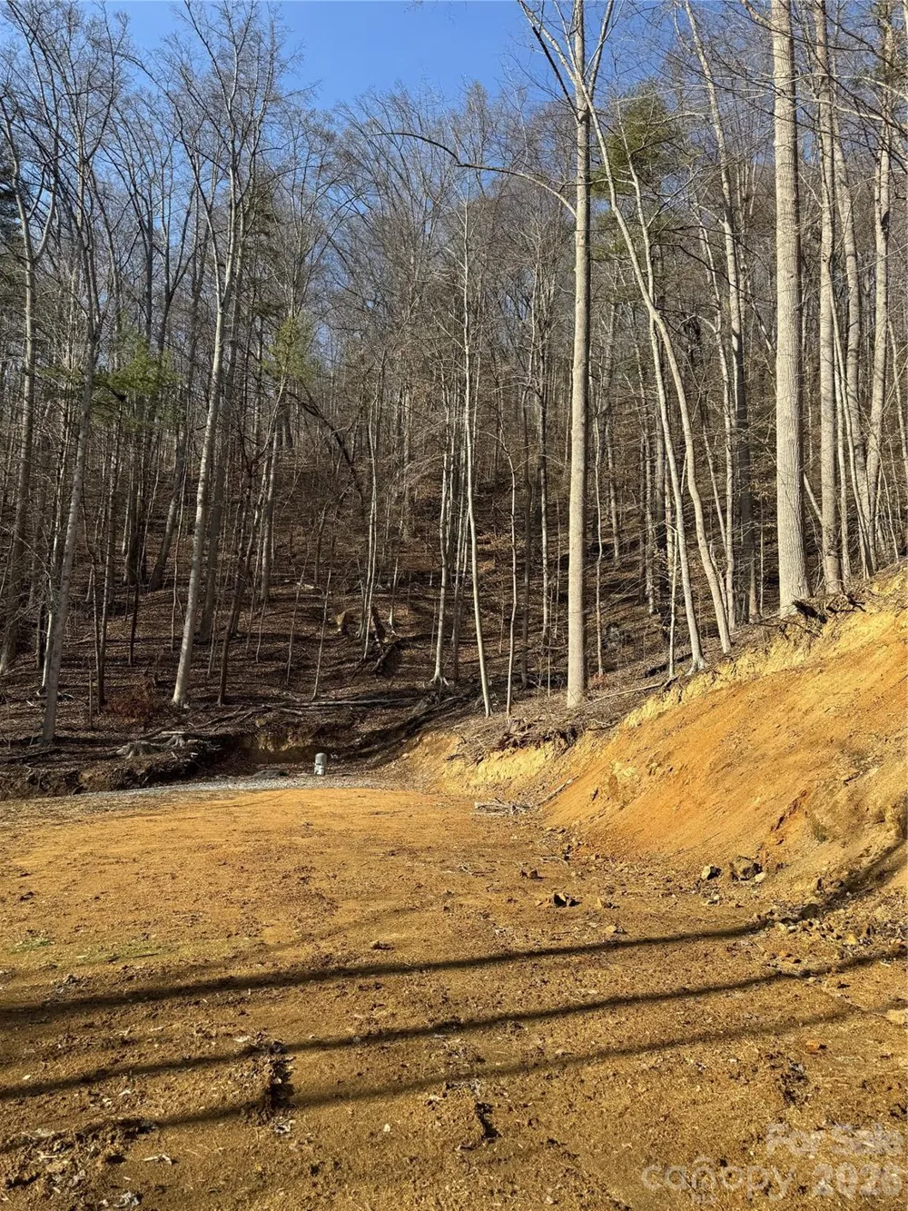 890 Fisher Branch Road Marshall, NC 28753