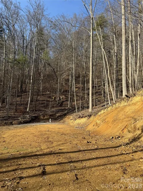 890 Fisher Branch Road