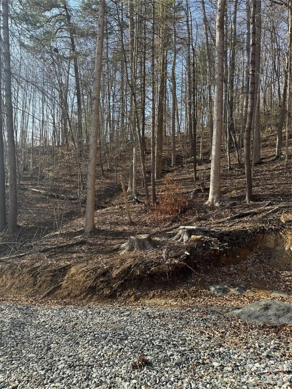 890 Fisher Branch Road Marshall, NC 28753
