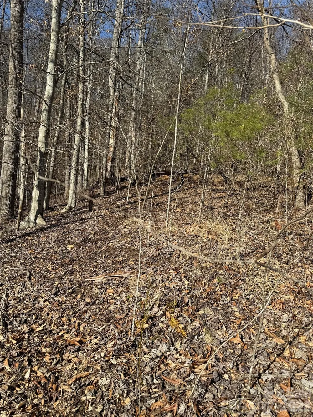 890 Fisher Branch Road Marshall, NC 28753