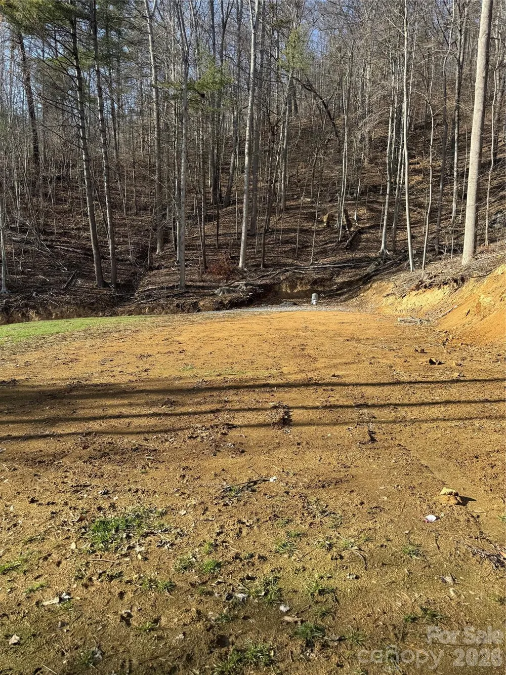890 Fisher Branch Road Marshall, NC 28753