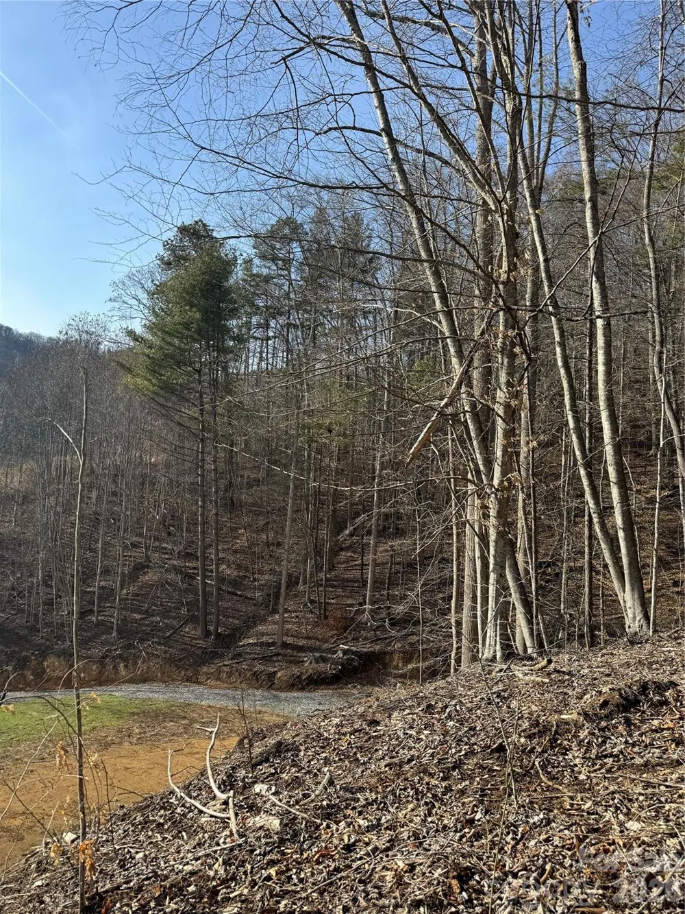 890 Fisher Branch Road Marshall, NC 28753