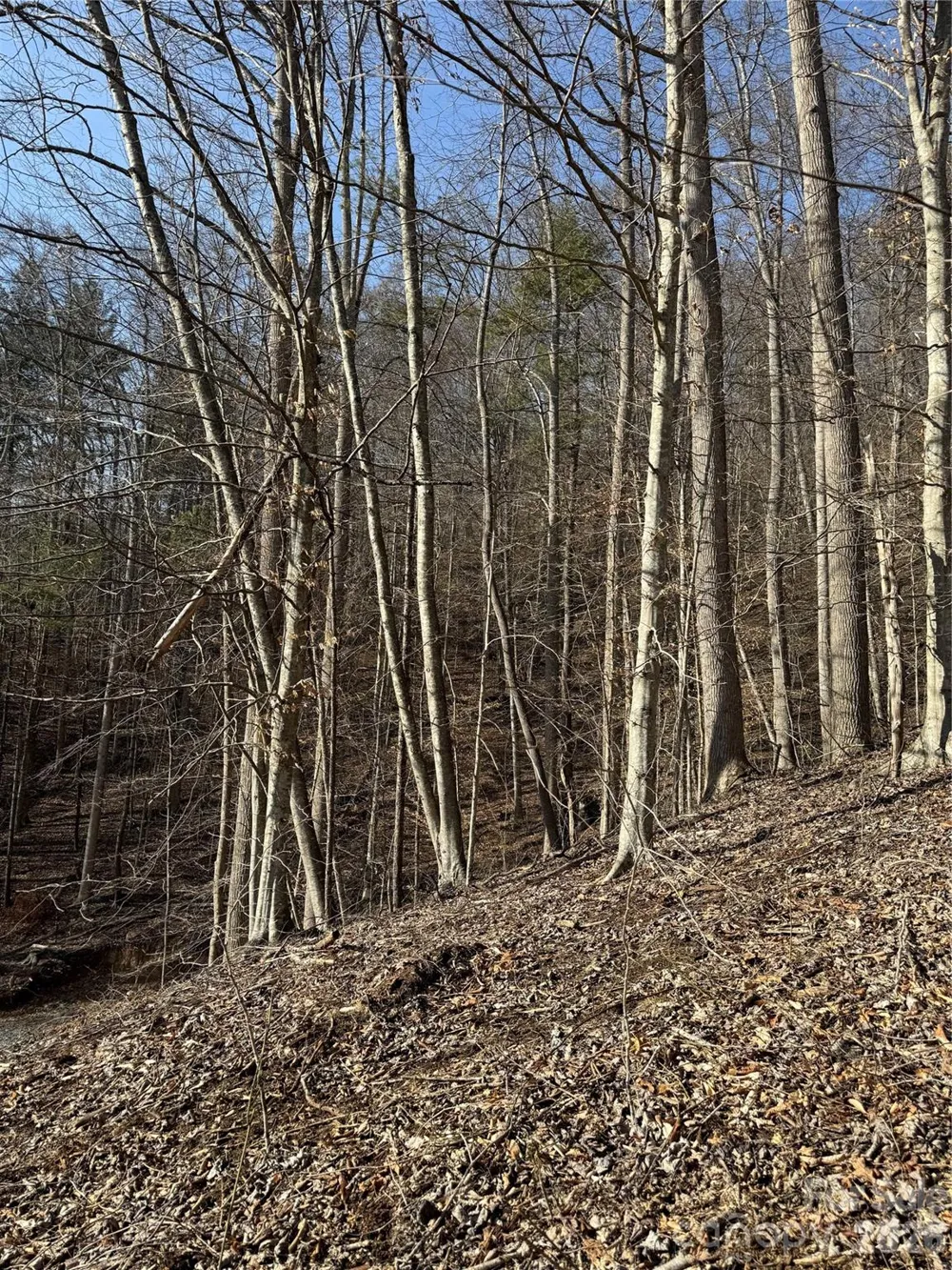 890 Fisher Branch Road Marshall, NC 28753