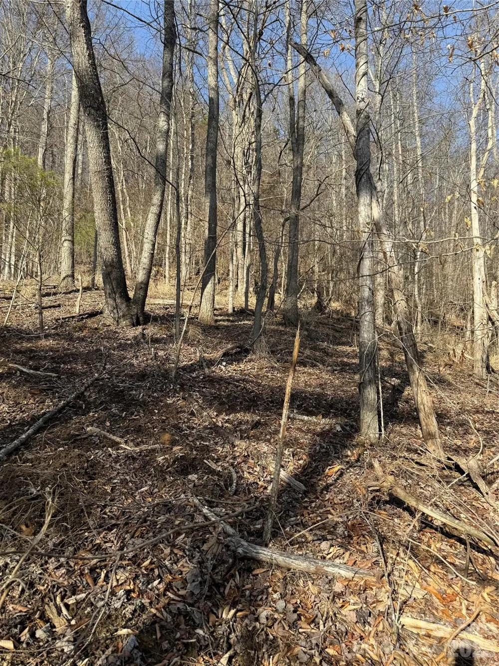 890 Fisher Branch Road Marshall, NC 28753