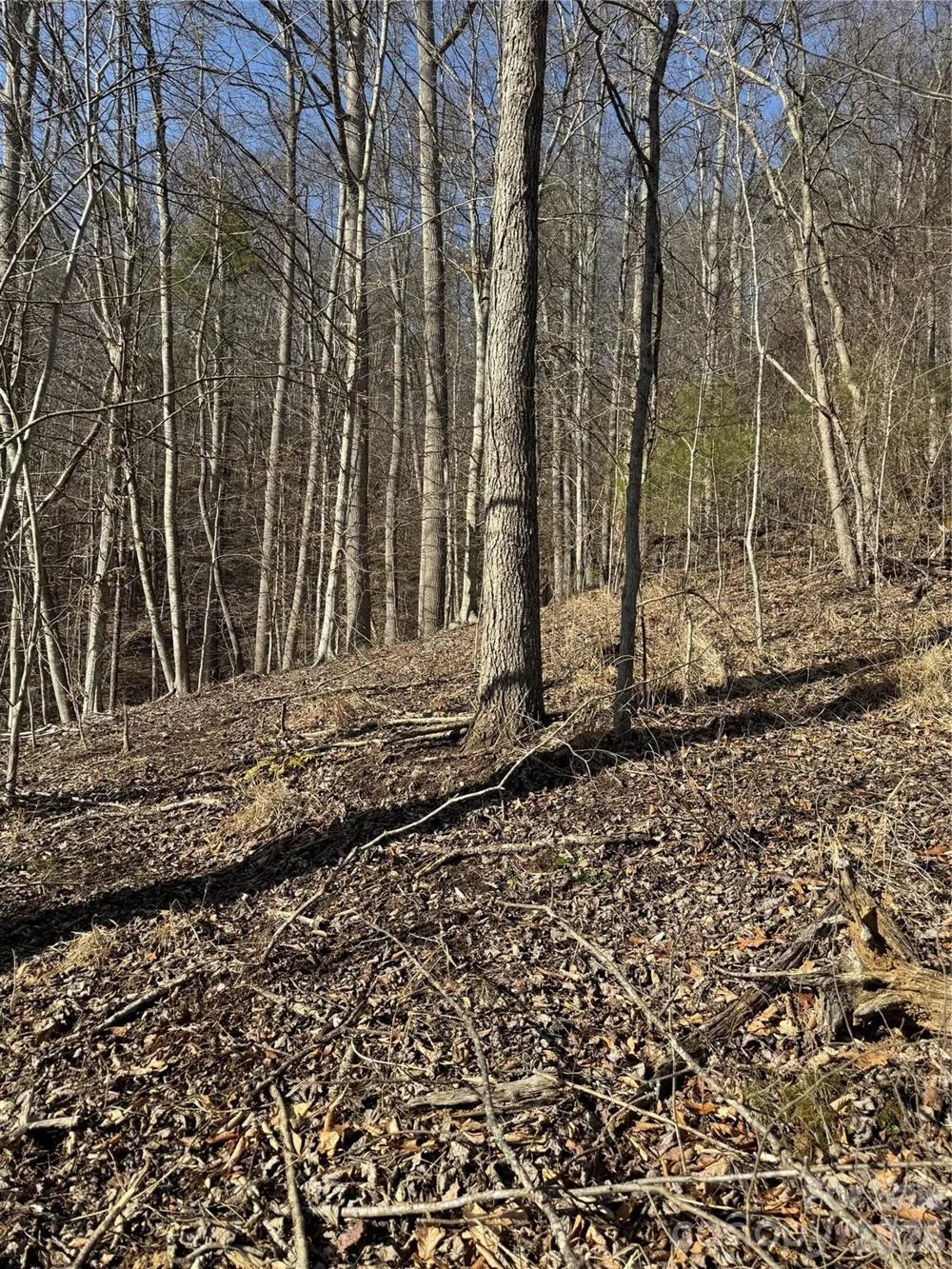 890 Fisher Branch Road Marshall, NC 28753