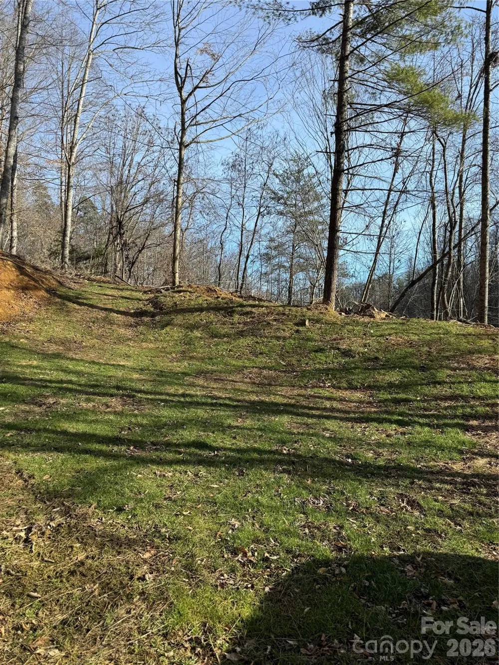 890 Fisher Branch Road Marshall, NC 28753