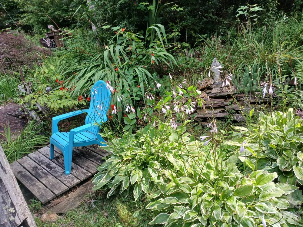 1694 Humpback Mountain Road Spruce Pine, NC 28777