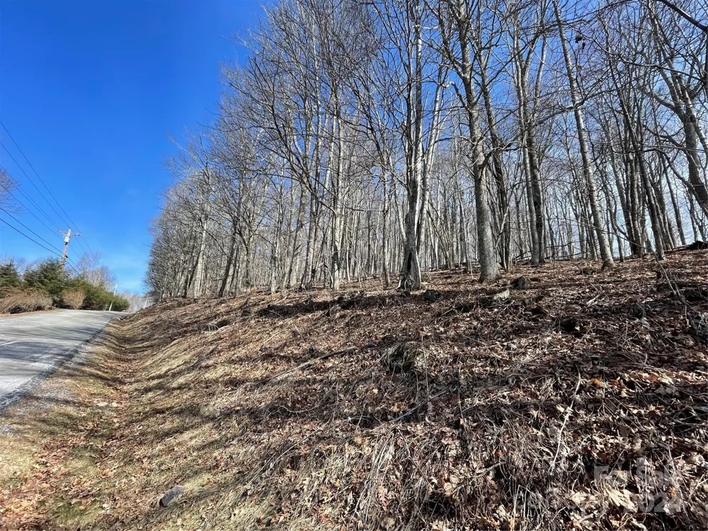 000 El Miner Drive #464 Mars Hill, NC 28754