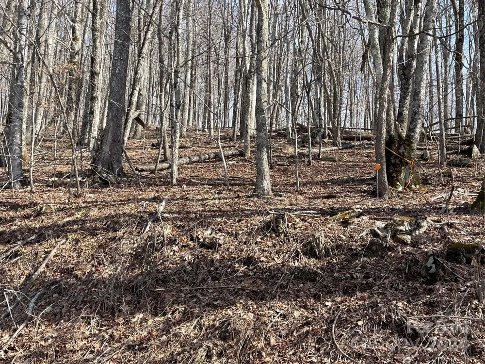 000 El Miner Drive #464 Mars Hill, NC 28754