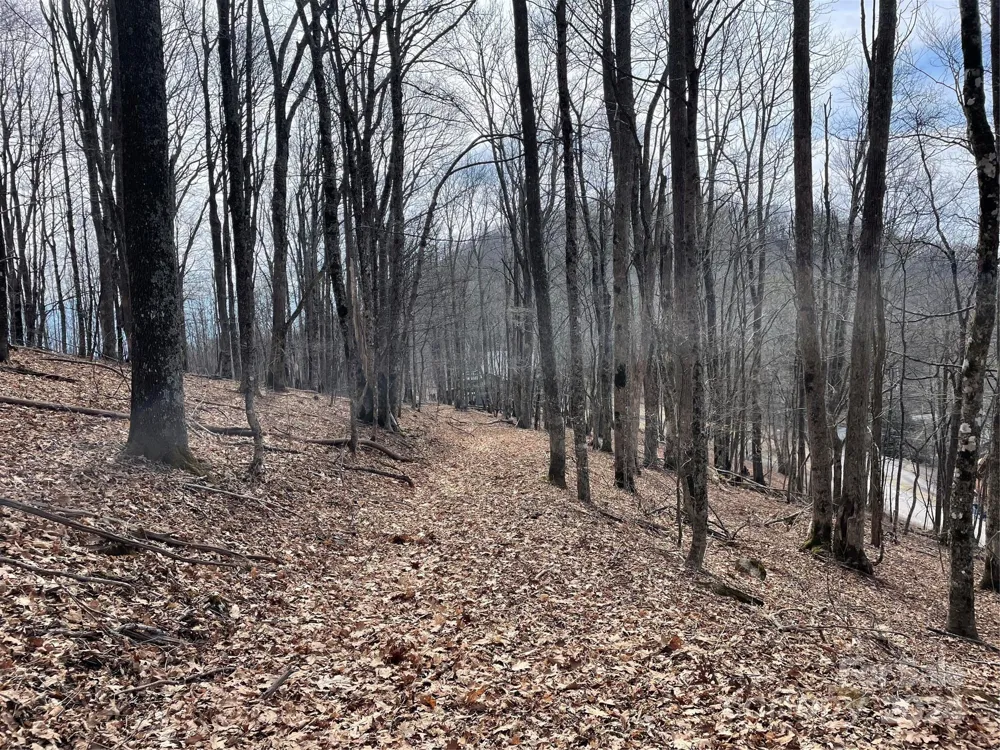 000 El Miner Drive #464 Mars Hill, NC 28754