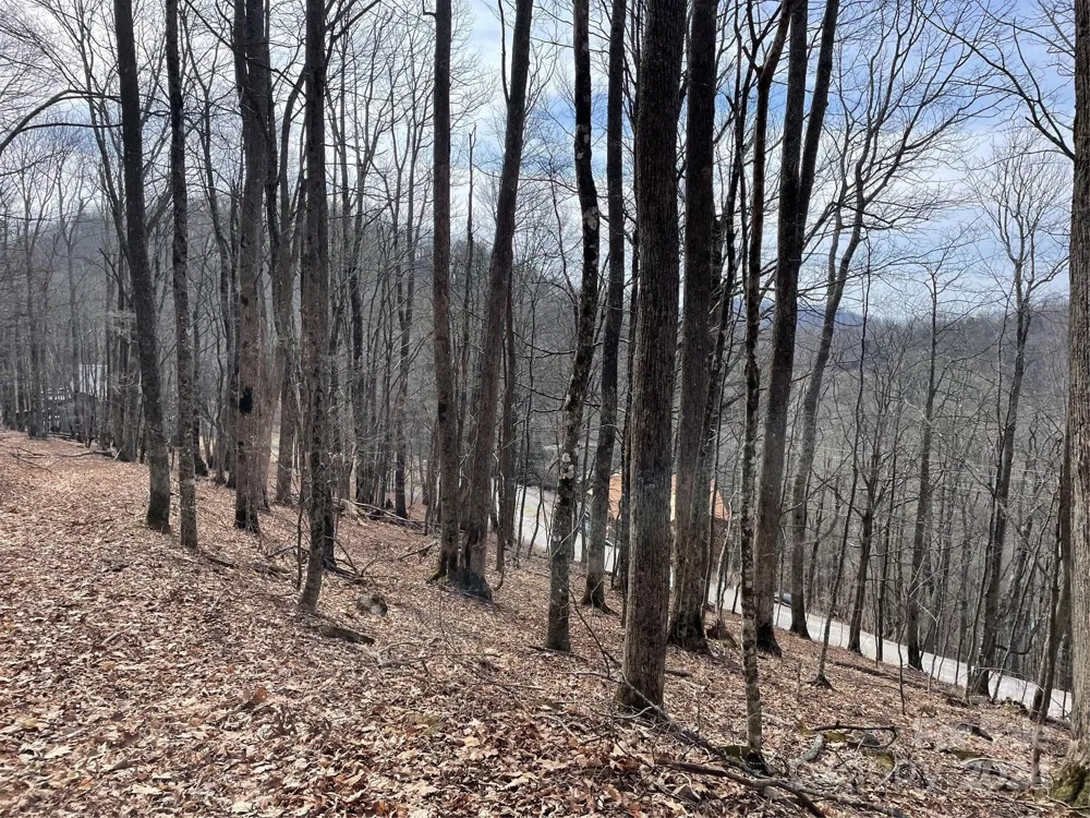 000 El Miner Drive #464 Mars Hill, NC 28754