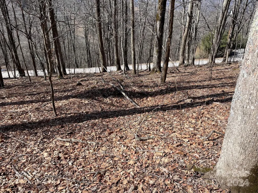 000 El Miner Drive #464 Mars Hill, NC 28754