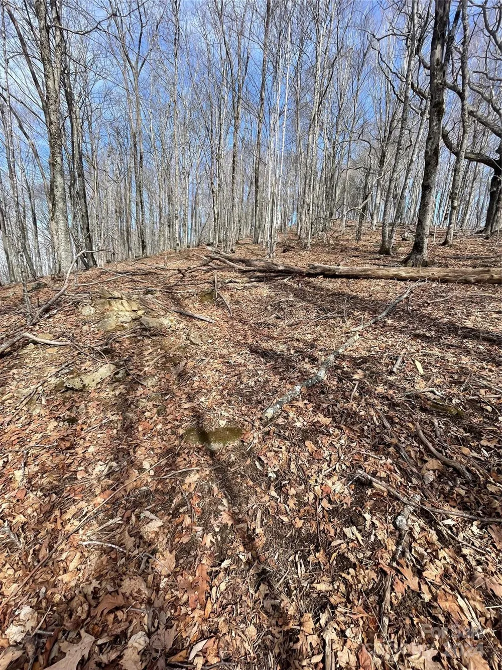 000 El Miner Drive #464 Mars Hill, NC 28754